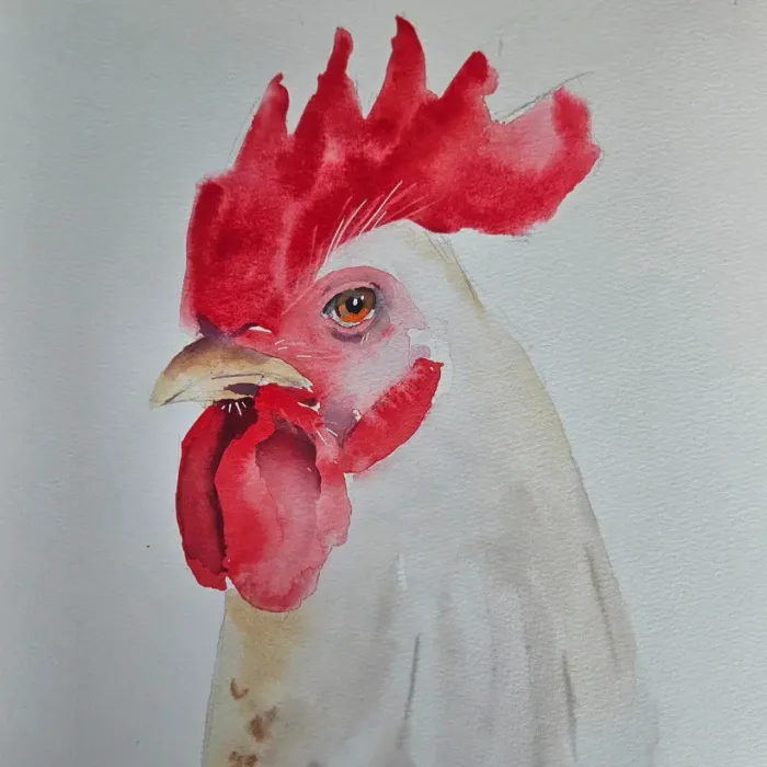 Gallina