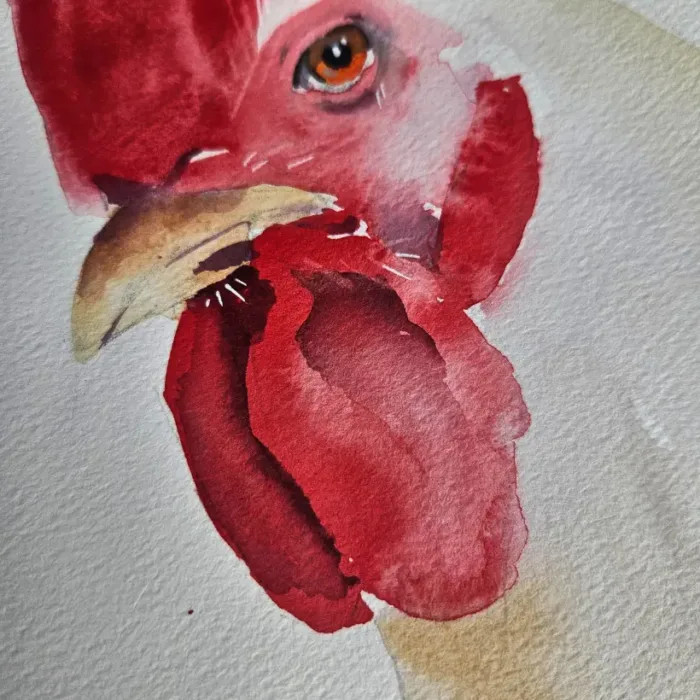 Gallina - Imagen 2