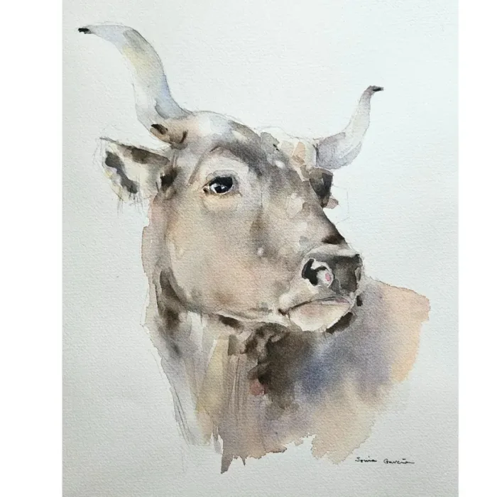 1 Vaca