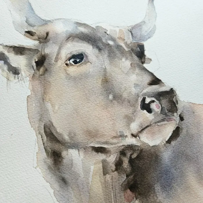 1 Vaca - Imagen 2